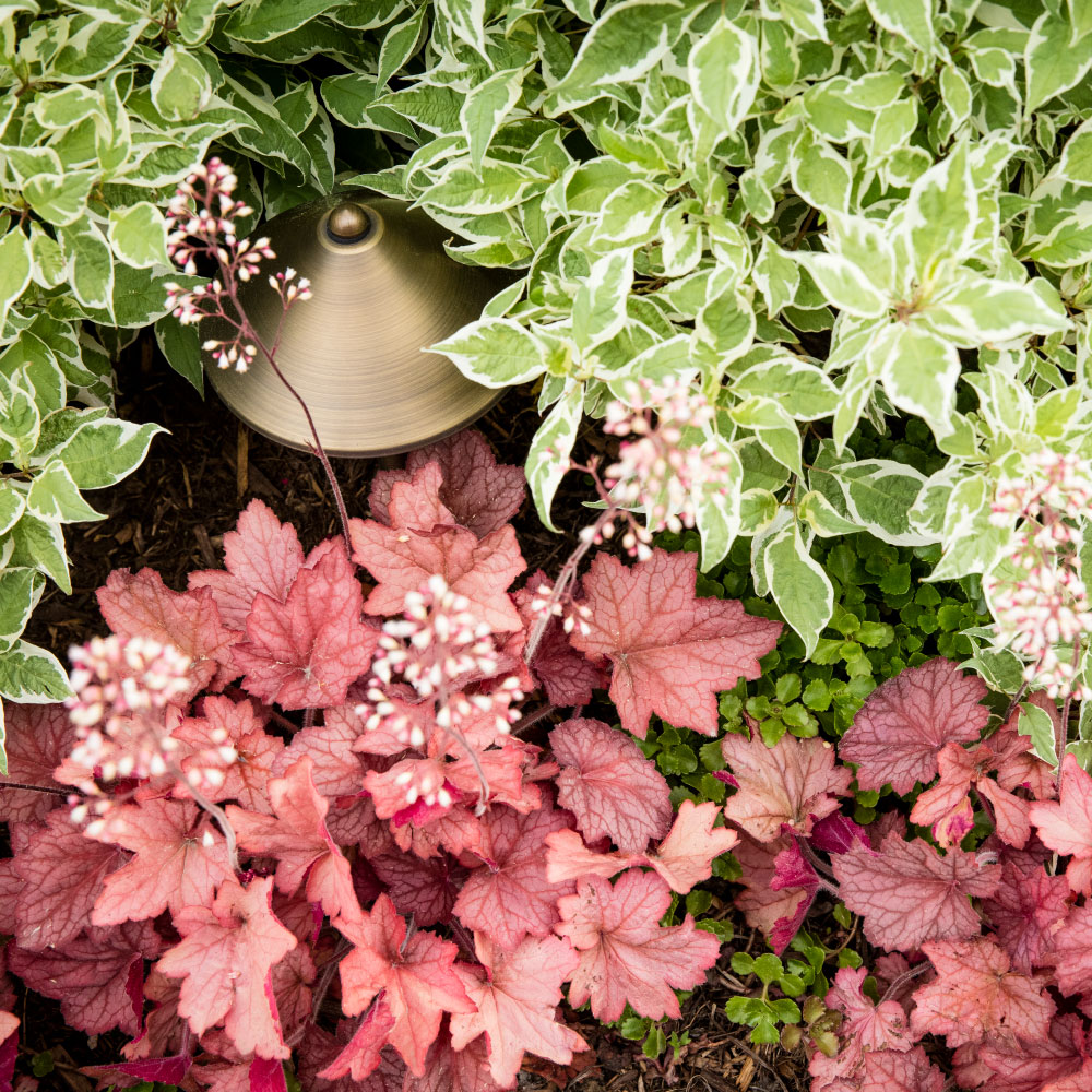 C&H Landscaping Plants Landscape Design