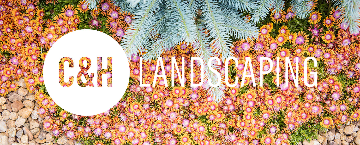 About C&H Landscaping