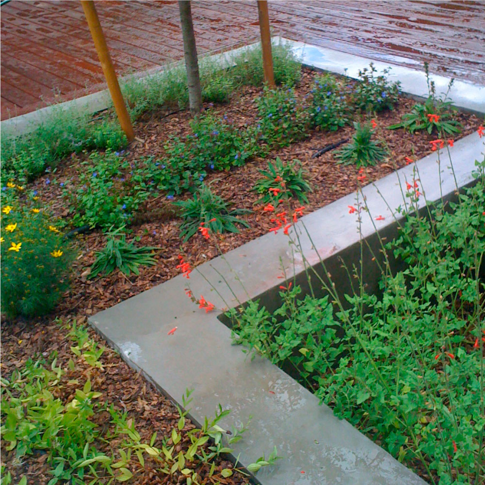 Custom Landscape Design