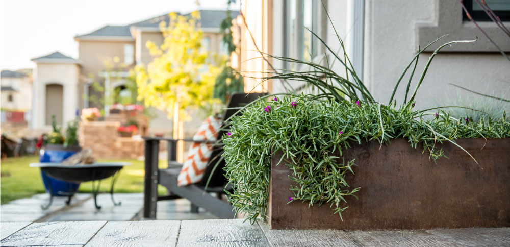 Custom Landscape Design