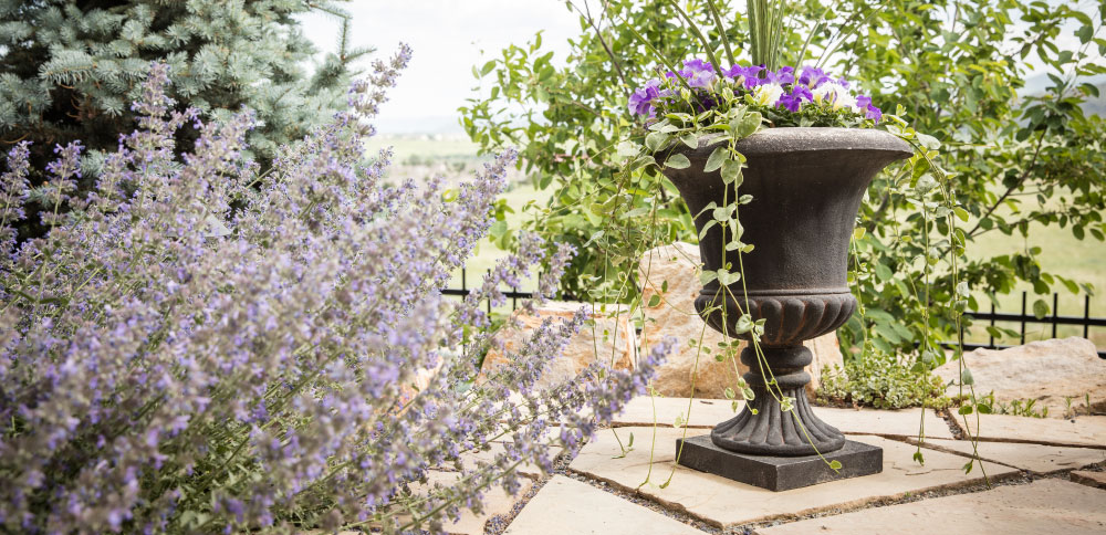 Custom Landscape Design Outdoor Patio